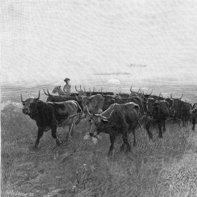 The Ga;l I ;eft behind